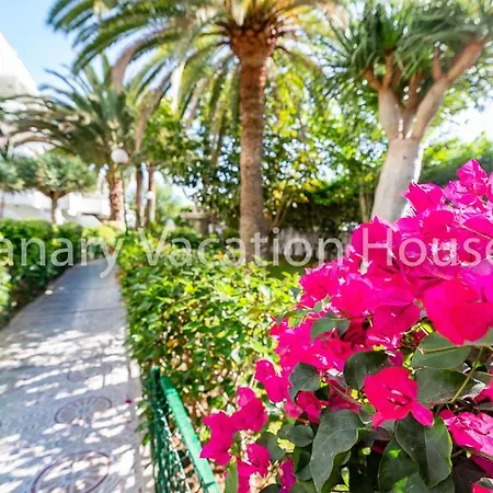 Sonneland Cozy * San Bartolome de Tirajana (Gran Canaria)